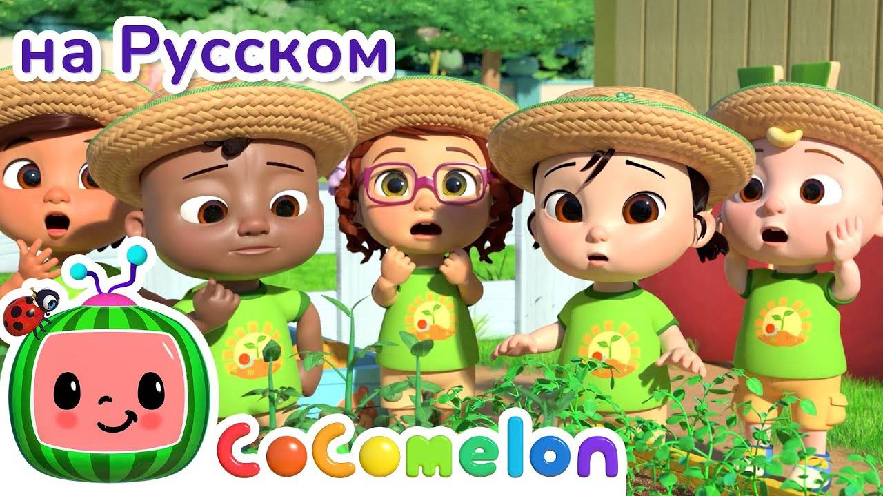 🍅🥕Овощи любят малыши - Новая Серия✨ ｜ CoComelon на русском — Детские песенки - CoComelon на русско