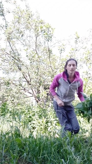 Букет из крапивы 🌱🌼🦋
