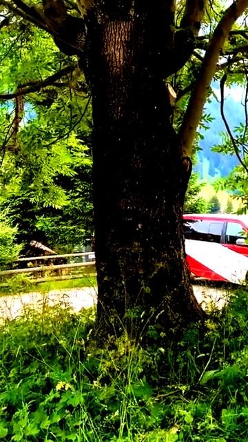 Камера поймала историю