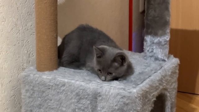 Смотрю на эти новые технологи и я в шоке от того как мир деградирует