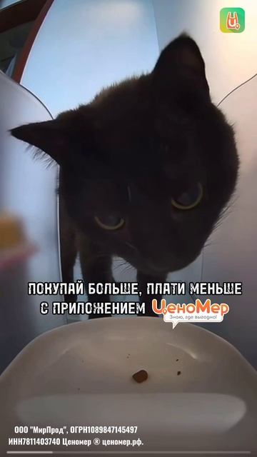 Размер порции