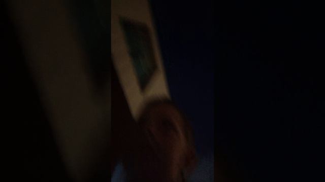 1000180379.mp4