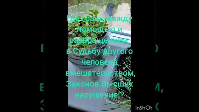Помощь другому, иногда, обоим вредна!?