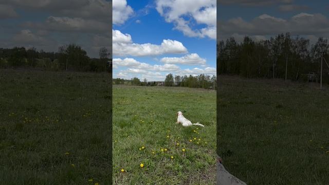 Фотий из Нижнерусского хутора. Нарезка моментов