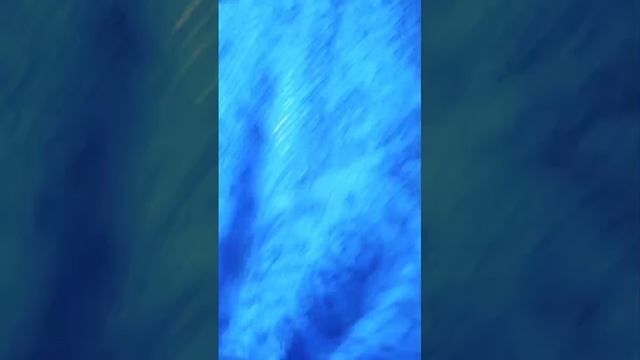 1000112425.mp4
