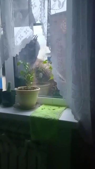 ОЧЕНЬ ОПАСНО! 1000050130.mp4