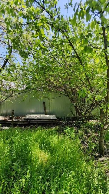 InShot_20250505_132651575.mp4