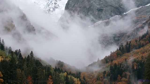 Музыка рождает желание исчезнуть среди природы - Запрещать запрещено (feat. Даша Гусеничка) -- POVAL
