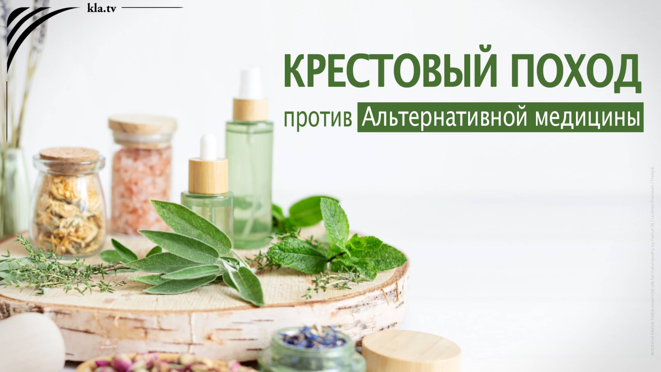 Полынь, ладанник и другие: почему проверенные лекарственные растения оказываются под запретом