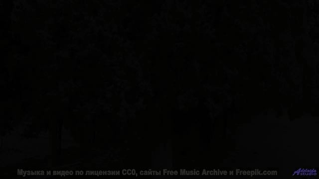 Лёгкие наполняются свежестью вместе со звучащими нотами - Stages Of Awakening -- Podington Bear -- S