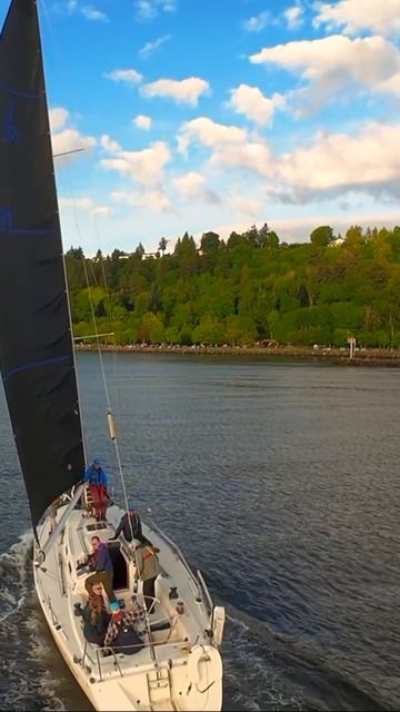 ⛵ Парусная яхта у парка Голден Гарденс — лето в Сиэтле с высоты 🌊