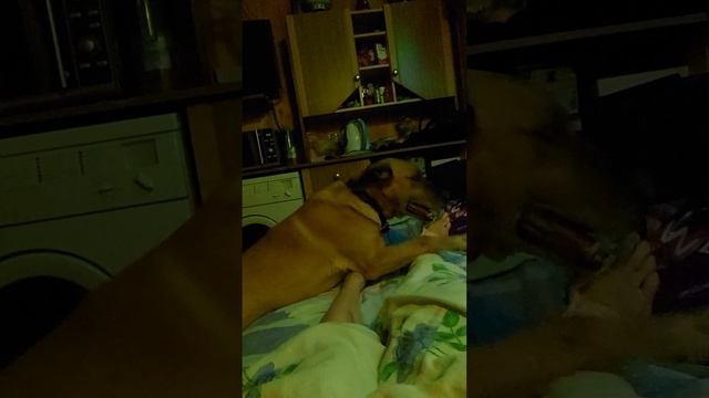 1000012673.mp4