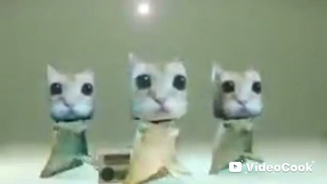 котики🤣😆😀