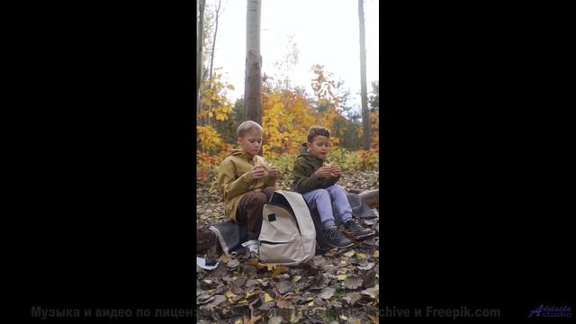 Ты НЕ ЗНАЛ, что так бывает! - The Pining -- Sea Offs -- Whats The Point