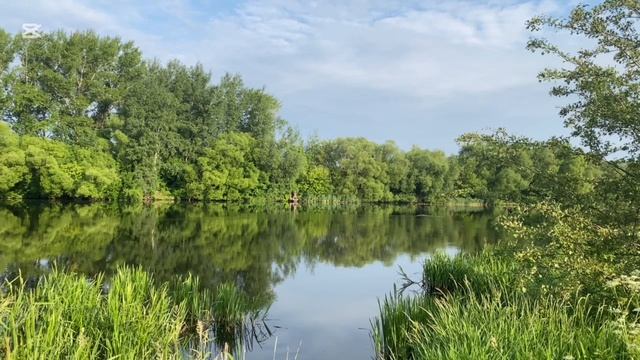 Релакс видео