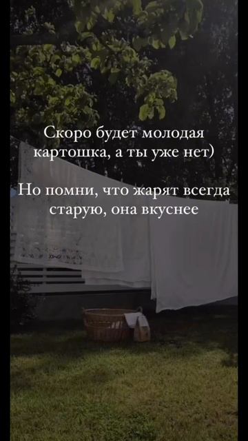 #шуткаюмора #юмор #деревенскаяжизнь #calmdown #шутка #юмор #деревня #вдеревне #россия #сибирь #love