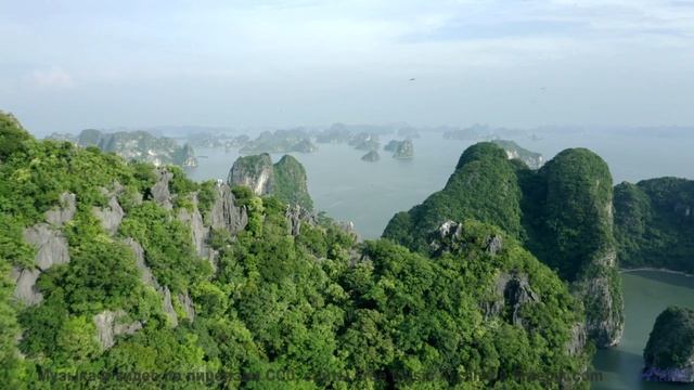 Эта музыка заставит вашу кровь кипеть - осторожно! - Dance Till You Die -- HoliznaCC0 -- ChipTunes