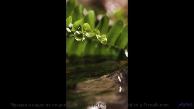 Звуки природы + идеальная музыка = ваш побег от реальности! - Undone -- Bus Window -- Flying High