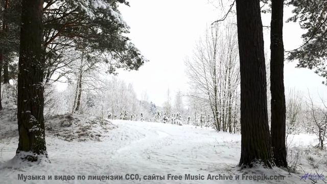 Этот трек - как компас, ведущий к мечте! - Meaningful (Connection) -- Tadz -- Soul Symphonies Vol.1