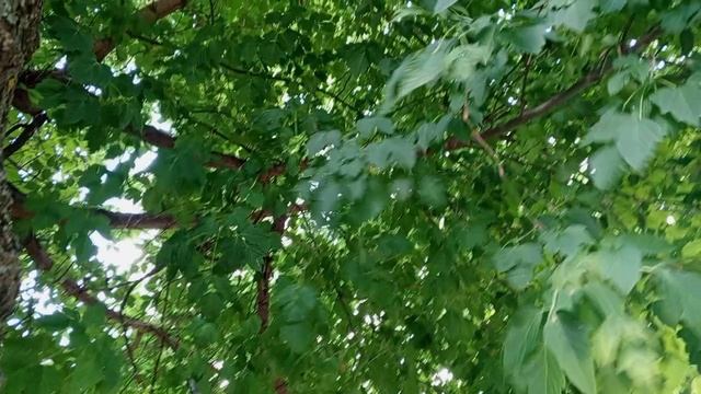 1000008335.mp4