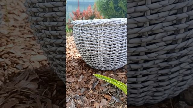 1000025438.mp4