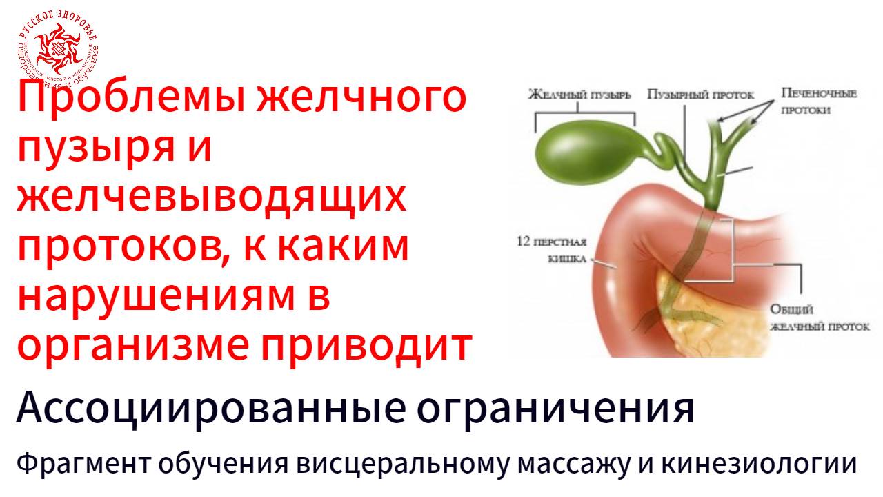 Проблемы желчного пузыря и желчевыводящих протоков, к каким нарушениям в организме приводит.