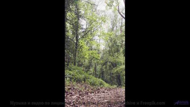 Этот клип - как обещание счастья, которое сбывается! - OnlyOne -- Makaih Beats -- OnlyOne