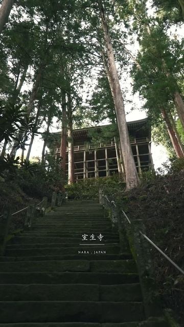 早朝の室生寺が神秘的すぎる - HOWELL / ハウエル