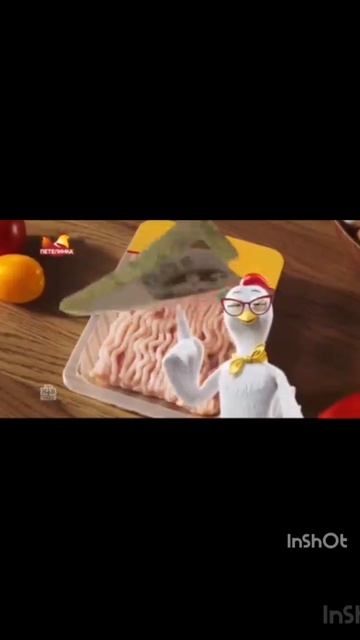 реакция кота на новую рекламу петеленка ЕГGIПЕ