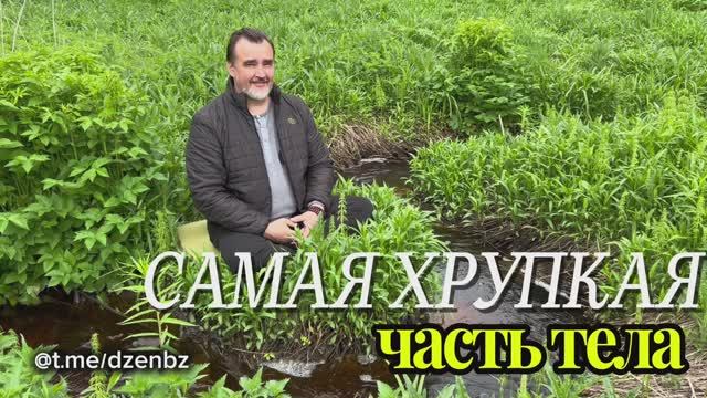 Самая хрупкая часть тела