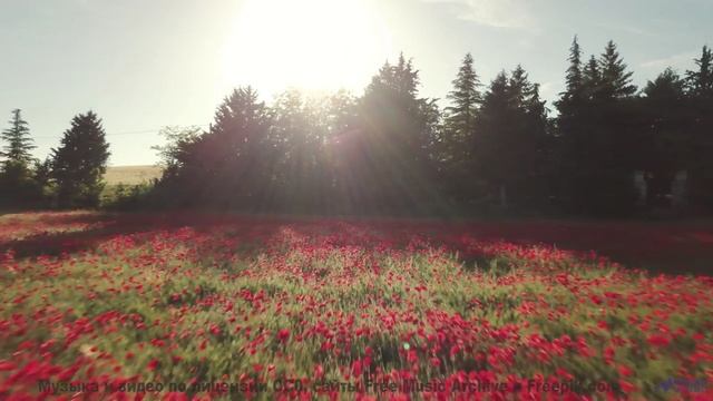Он идеален, как первый поцелуй под дождем... - Happy-Diversion -- Ketsa -- Bedding