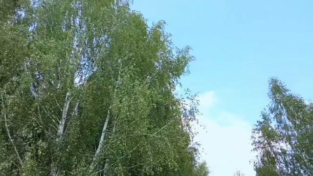 РОССИЯ - МАТУШКА