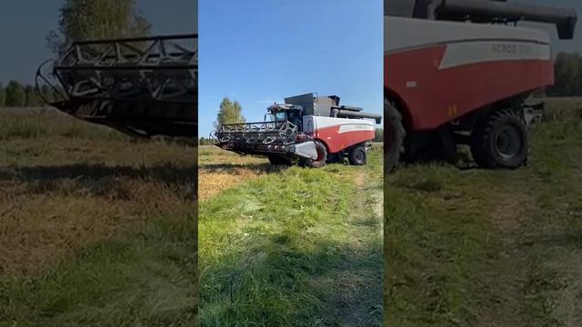 video5354808114749142550