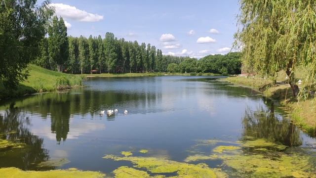 Спасск. На пруду