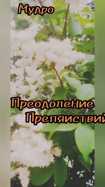 13 июня.
АСТРОЛОГИЯ ДНЯ.

Противостояние трудностям, которые посылает судьба. 
(Преодолеваем препятс