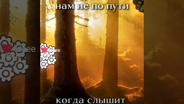 это мне подруга скинула