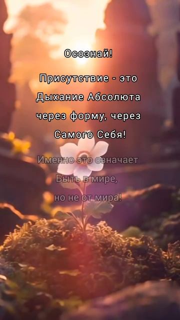 Яна Корнилова