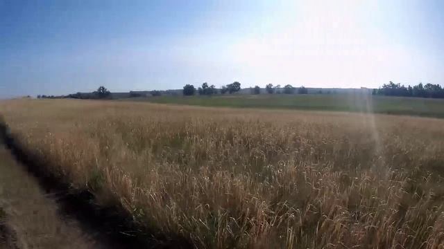 В краю забвения.😊