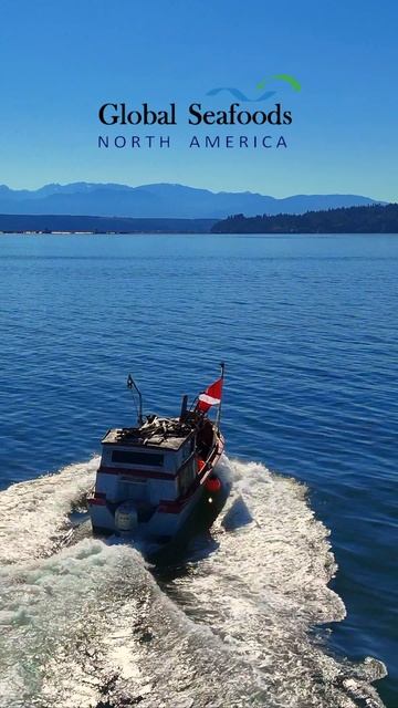 🚤 Дайвинг-лодка в работе — Порт Гэмбл, Вашингтон 🌊