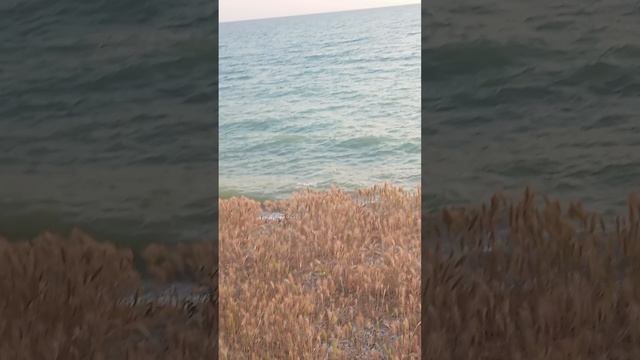 Шторм в Николаевке