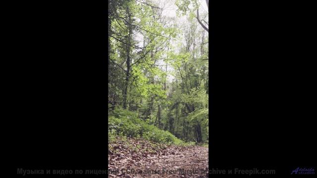Эта музыка превращает любой отель в романтическое убежище - Fireflies -- Ketsa -- Growth