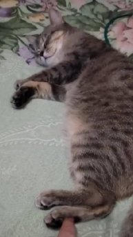 Хоть небо опрокинь, а я в Нерване