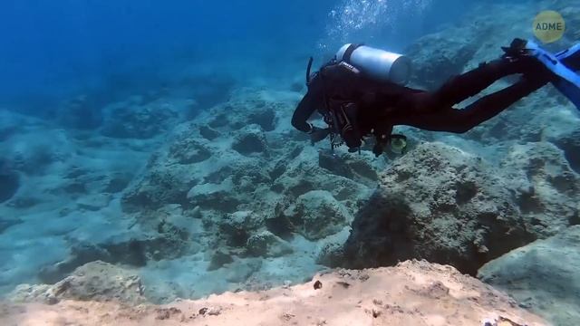 Река Амазонка скрывает больше, чем вы готовы воспринять