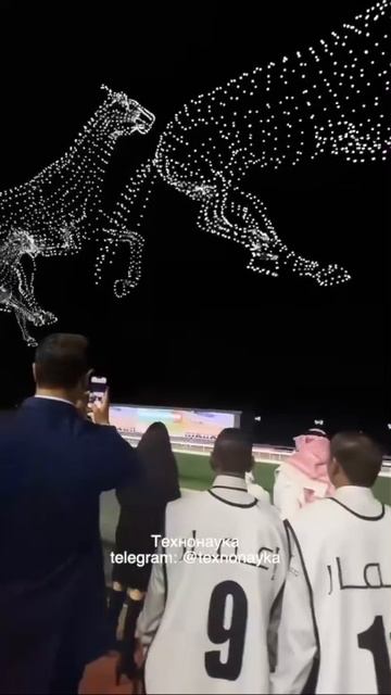 Шоу дронов на Кубке мира по скачкам в Дубае 🐎