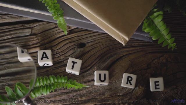 Природа звучит как никогда честно под этот саунд - Molly Girls -- SUPERARE -- VII