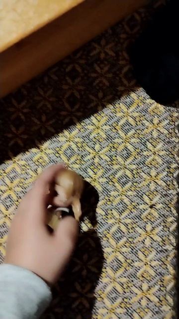 1000000984.mp4