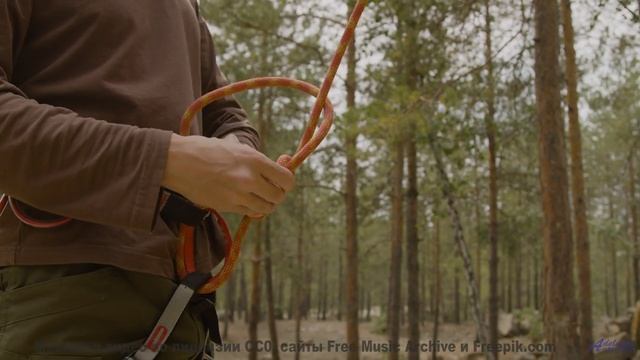 Он настолько трогательный, что хочется обнять весь мир! - Kid Is Frangin -- Podington Bear -- Meet P