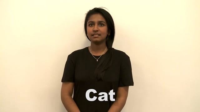 Sign language