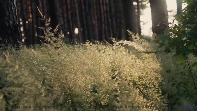 Планета дышит сильнее, когда ритм совпадает с кадром - Full Circles -- Ketsa -- Growth