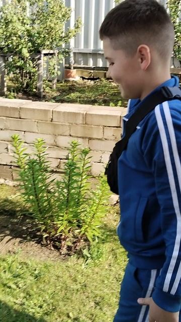проходим полосу препятствий